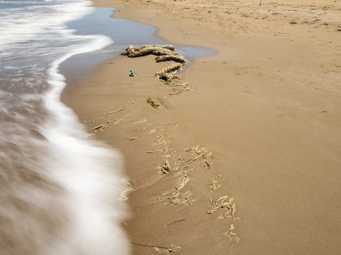 Deniz kıyısının güzel manzarası