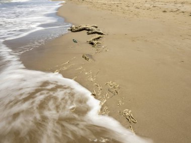 Kosta Rika 'da sahilde dalga