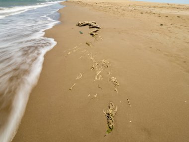 Denizde kumdaki ayak izleri