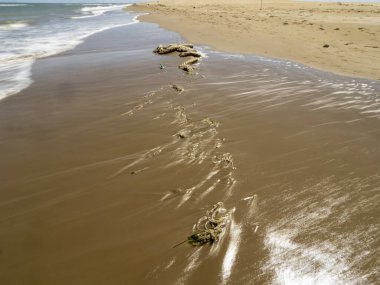 Kumsalda kum ve dalga