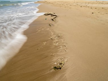 plaj ve tropikal deniz