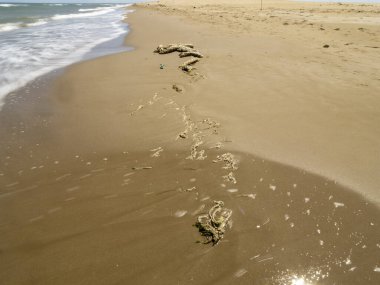 Portekiz 'de kumsalda dalgalar ve kumlar, yaz günü