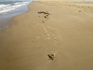 Kumsaldaki ayak izleri..