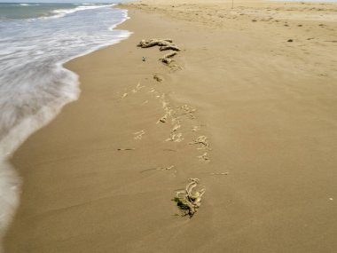 Kumsaldaki kumda ayak izleri.