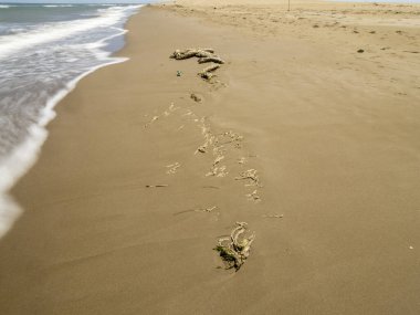 Akdeniz sahilindeki kumda ayak izleri var.