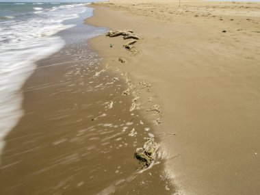 Kum ve deniz dalgaları