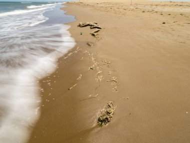 Güzel sahil ve tropikal deniz