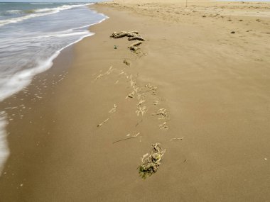 Kumsalda ayak izleri.