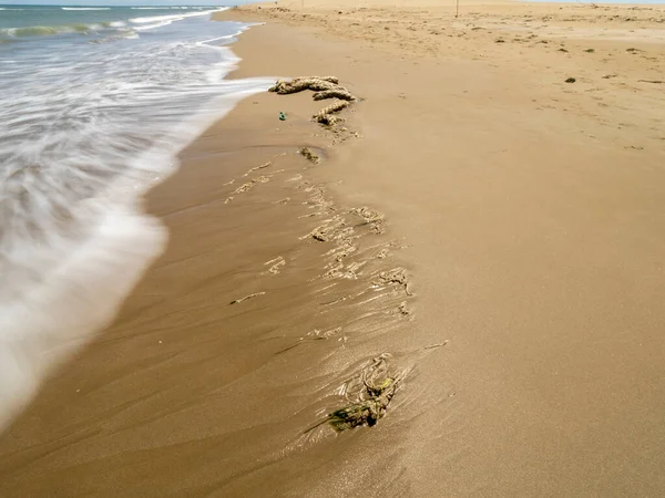 plaj ve tropikal deniz