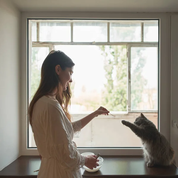 Kadın Evde Yemek Pişirirken Kediyi Besler Meraklı Kedi Yemeğin Tadını — Stok fotoğraf