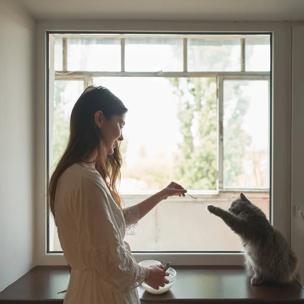 Woman Feeds Cat While Cooking Home Curious Cat Tastes Food — Stock Photo, Image