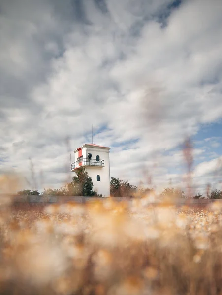 Alter Weißer Leuchtturm Steht Kamillenfeld — Stockfoto