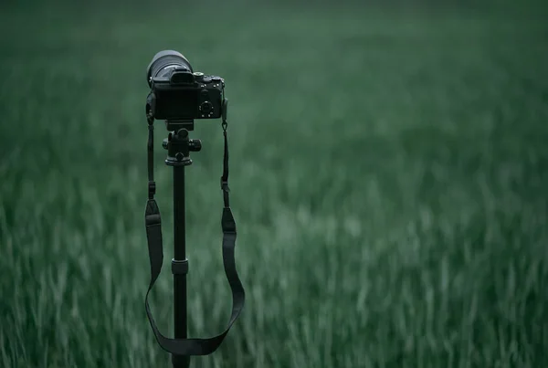 Kamera Statywie Stoi Terenie Nadal Fotografia Krajobrazu Przyrody Nowoczesne Hobby — Zdjęcie stockowe