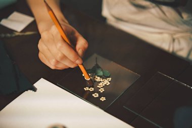 Kız bitkisel bitki üretme sürecinde. Kurumuş çiçek yaprakları kompozisyon hobisi