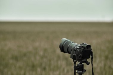 professional modern camera in the field. photo and video production
