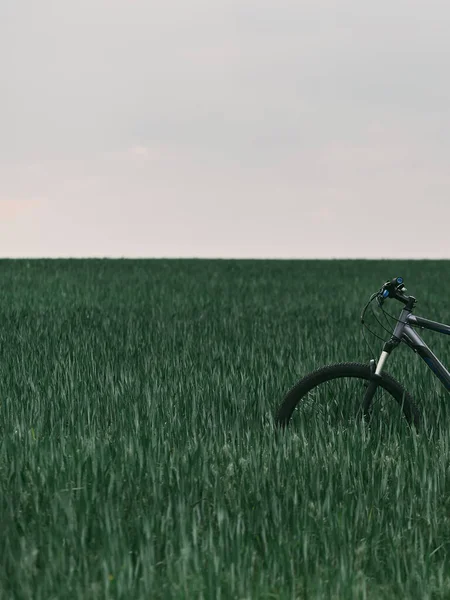 Dramatischer Blick Auf Mountainbike Steht Grasfeld Freizeit Und Radfahren Freiheit — Stockfoto