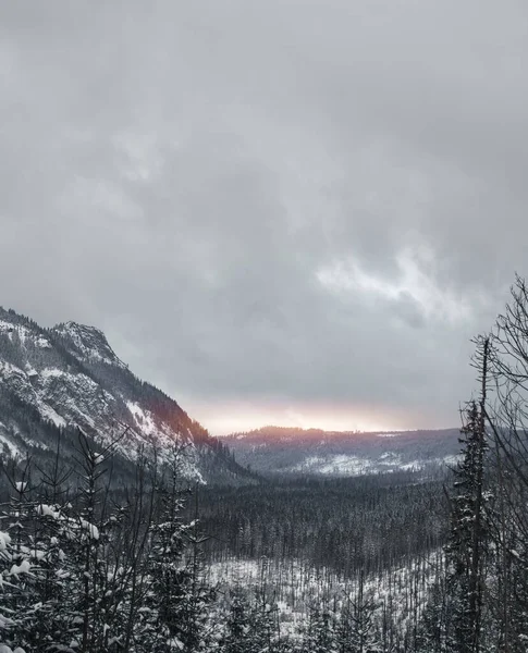 Panorama Över Fjälldalen Snöig Dag Vintern Landskap Solnedgången Bergstoppmöte — Stockfoto