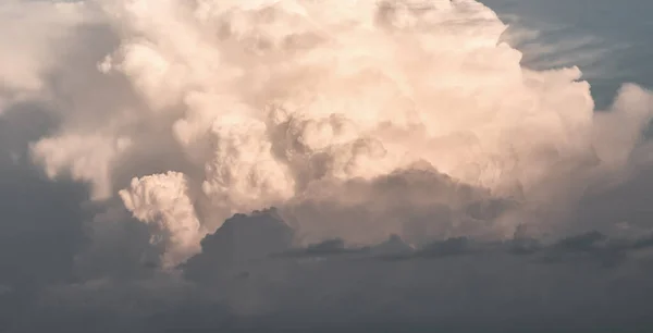 Cumulus cloud close-up before sunset. White cloud with evening sunshine