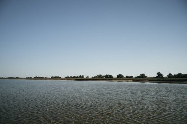 Yaz günü öğlen göl kıyısında. Gün ortası nehir manzarası.