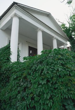 Sütunları ve sarmaşık doğal çitleri olan beyaz antika ev.