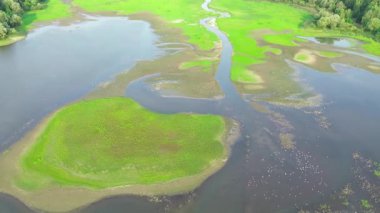 Bereketli tarlaların ve nehir akıntısının havadan görüntüsü