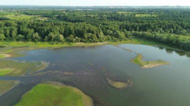 Orman ve suyla havadan doğa manzarası