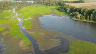 Aerial view of lush meadow and lake