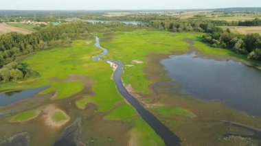 Sulak alanları ve yeşil çalıları olan güzel bir çayır.