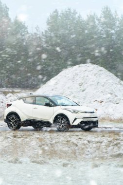 Arkadaki ağaçlarla karlı yolda giden araba.
