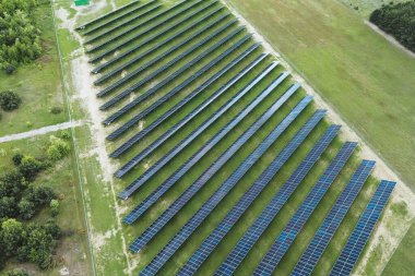 Yeşil çim tarlaları olan büyük güneş çiftliği