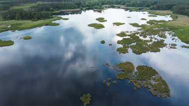 Akşamları gökyüzü yansıması olan manzaralı orman gölü.
