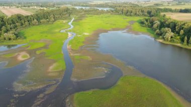 Green landscape with drought and water patterns