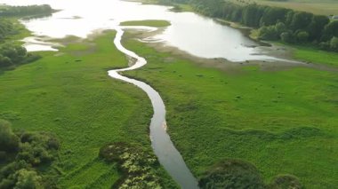 Su hareketi ve bitkilerle ekoloji manzarası