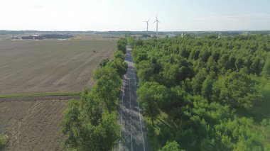 Ağaçlı yolu olan tarım arazisi