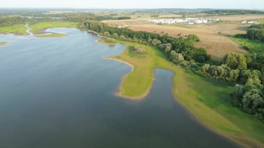 Orman ve suyla havadan doğa manzarası