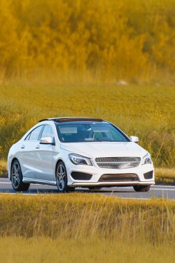 Modern premium car showing stylish elegance