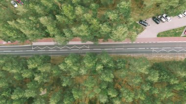 Spring forest with road and moving cars