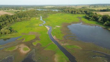 Nehir ve ormanla dolu bereketli yaz manzarası