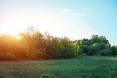 Güneşli kırsal alan, ekili tarlalarla kaplı.