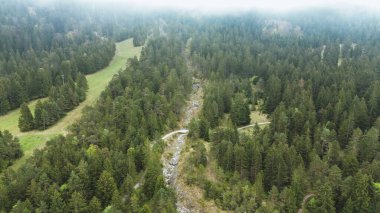 Huzurlu bir dağ vadisinde yuva yapmış evler.