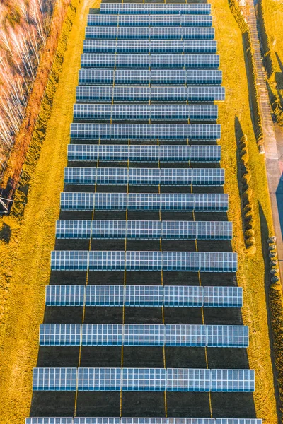 Dikey güneş çiftliği temiz elektrik üretiyor