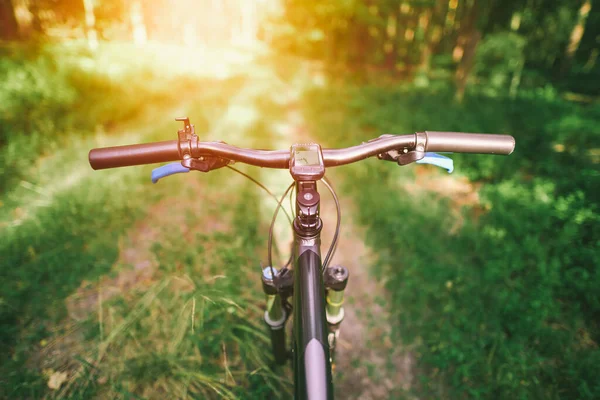 Ormanda hızlı bisiklet sürüşü