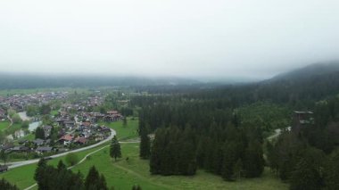 Sis, ormanın manzaralı yamaçlarında sürükleniyor.