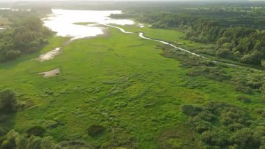 Green countryside fields with water and forest