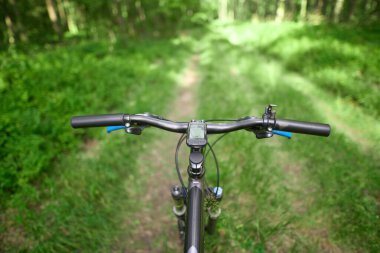 POV açısıyla orman yolunda hız yapıyor.