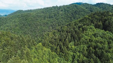 Dağlardaki manzaralı orman parkı, sabahleyin insansız hava aracı tarafından ele geçirildi.
