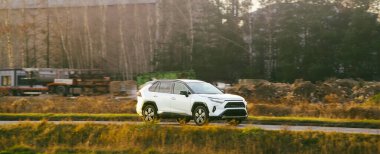 Kırsal alanda yeşil araba sürüyor