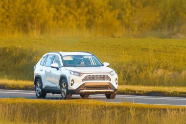 Açık yolda otomatik seyir hızı