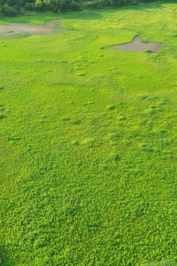 Sarmal nehir ve ormanlık arazili yeşil alanlar.