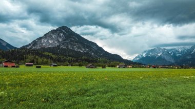 Karlı tepeler ve yeşil açık çayır manzarası